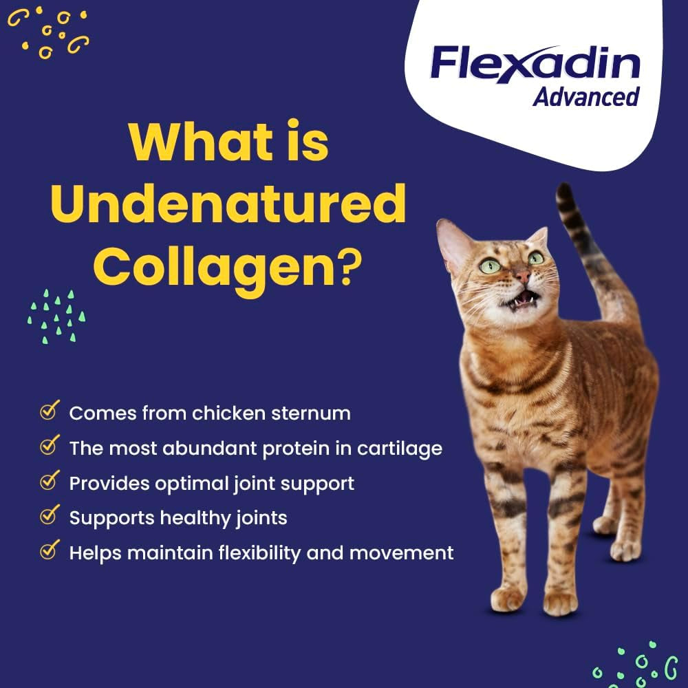 Flexadin Advanced Dog Hip and Joint Supplement with Undenatured Collagen, One Chew a Day Hip and Joint Support Chew for Dogs and Cats, Clinically Proven Vet-Approved Formula, 30 Chews