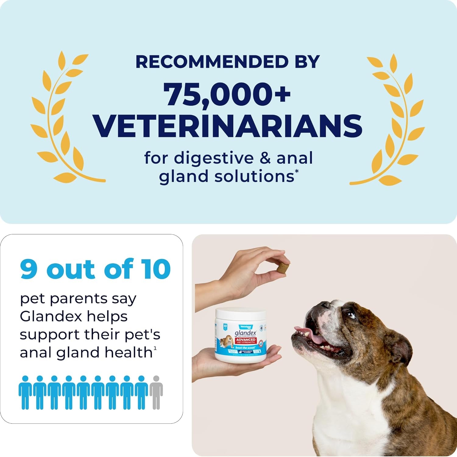 Glandex Anal Gland Soft Chew Treats with Pumpkin for Dogs Digestive Enzymes, Probiotics Fiber Supplement for Dogs Boot the Scoot (Advanced Strength Duck/Bacon Chews (Veg), 30 Count)