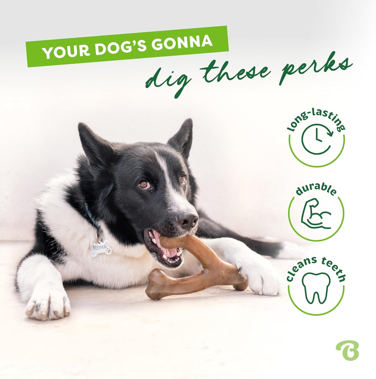 Wishbone Durable Dog Chew Toy for Aggressive Chewers, Real Chicken, Made in USA, Medium, for All Breed Sizes