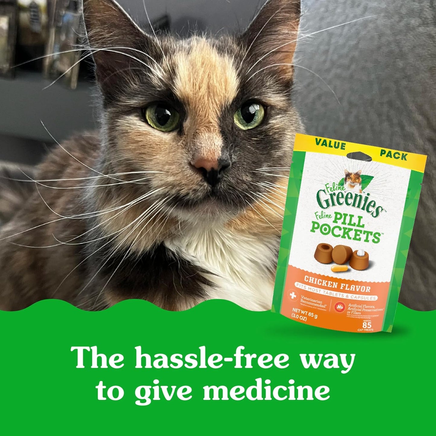 Feline Pill Pockets for Cats Natural Soft Cat Treats, Chicken Flavor, 1.6 Oz. Pouch (45 Treats)