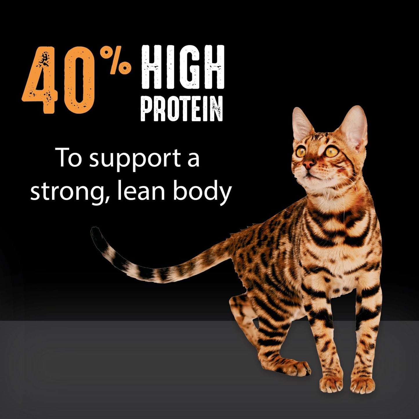 Grain Free Adult High Protein Natural Dry Cat Food with Protein from Chicken, 10 Lb. Bag