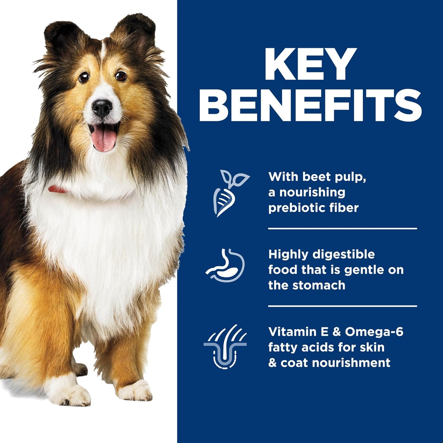 Sensitive Stomach & Skin, Adult 1-6, Stomach & Skin Sensitivity Support, Wet Dog Food, Chicken & Barley Stew, 12.5 Oz Can, Case of 12