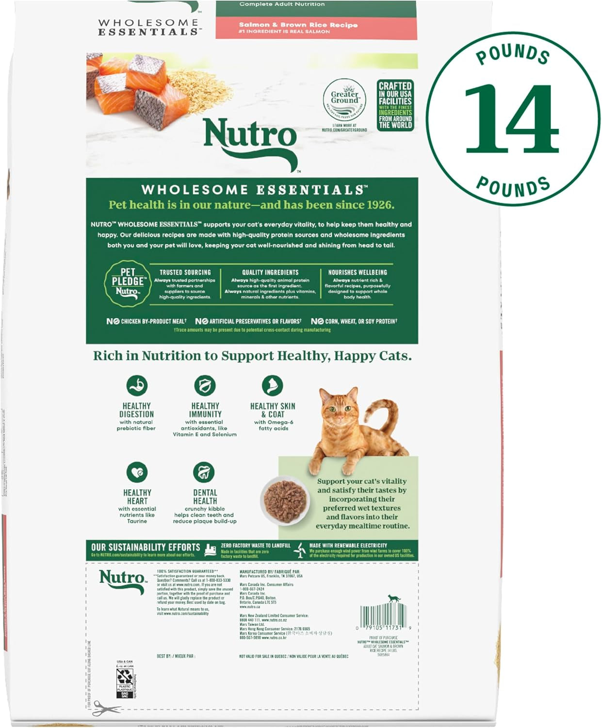 Wholesome Essentials Adult Dry Cat Food, Salmon & Brown Rice Recipe, 14 Lb. Bag