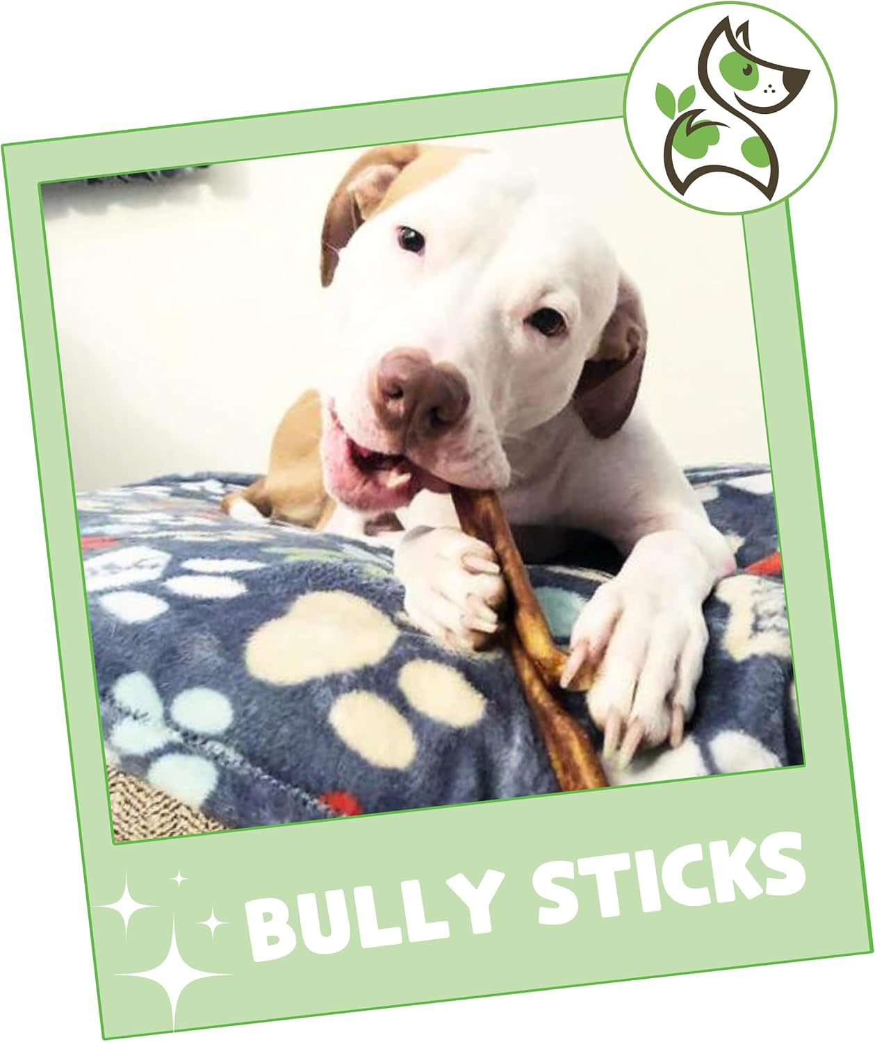Bully Sticks for Dogs 5-6" (8Oz) - Mixed Thickness - Long Lasting for Aggressive Chewers and Large Dogs - Natural Beef Dog Chew Bones