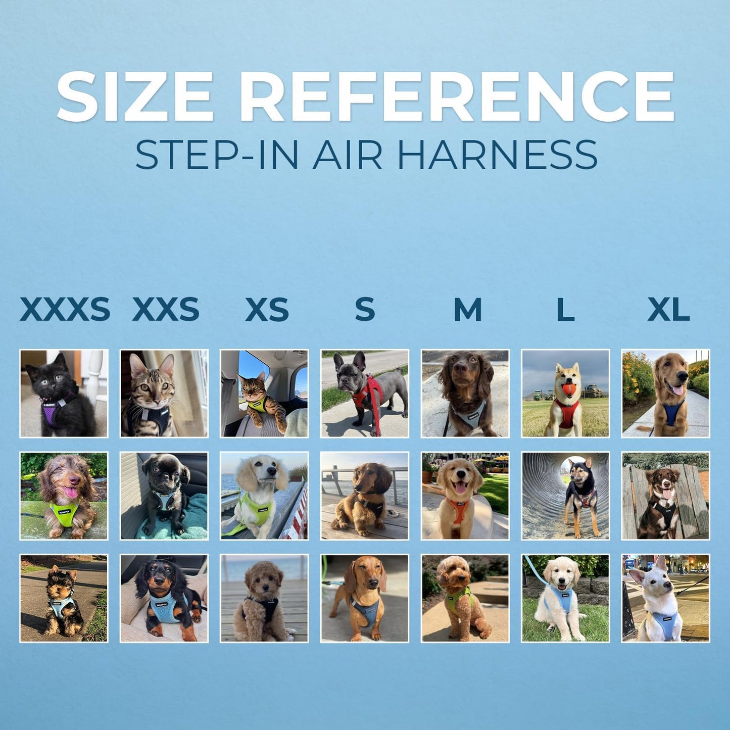 - All Weather Mesh, Reflective, No Pull Harness for Small, Medium Dogs, Cats - Secure with Hook & Loop Fastener, Buckle, Double D-Rings - Baby Blue, M
