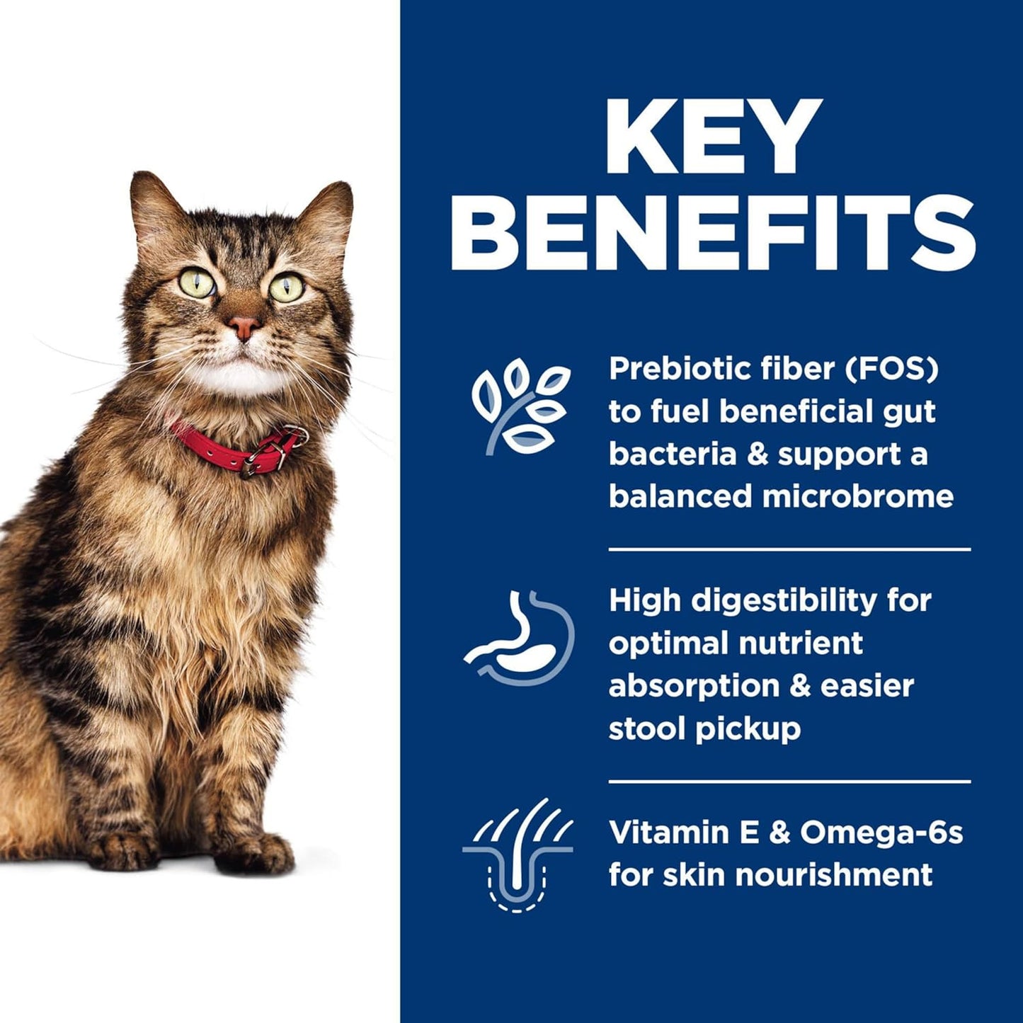 Sensitive Stomach & Skin, Adult 1-6, Stomach & Skin Sensitivity Support, Dry Cat Food, Chicken & Rice, 3.5 Lb Bag