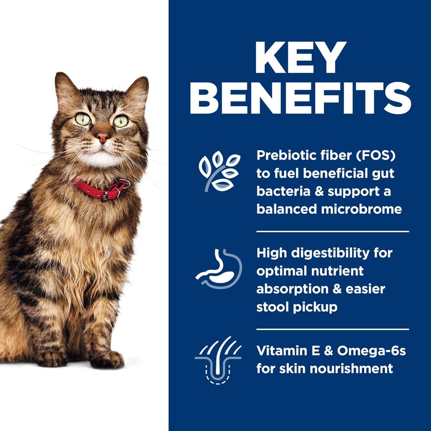 Sensitive Stomach & Skin, Adult 1-6, Stomach & Skin Sensitivity Support, Dry Cat Food, Chicken & Rice, 3.5 Lb Bag