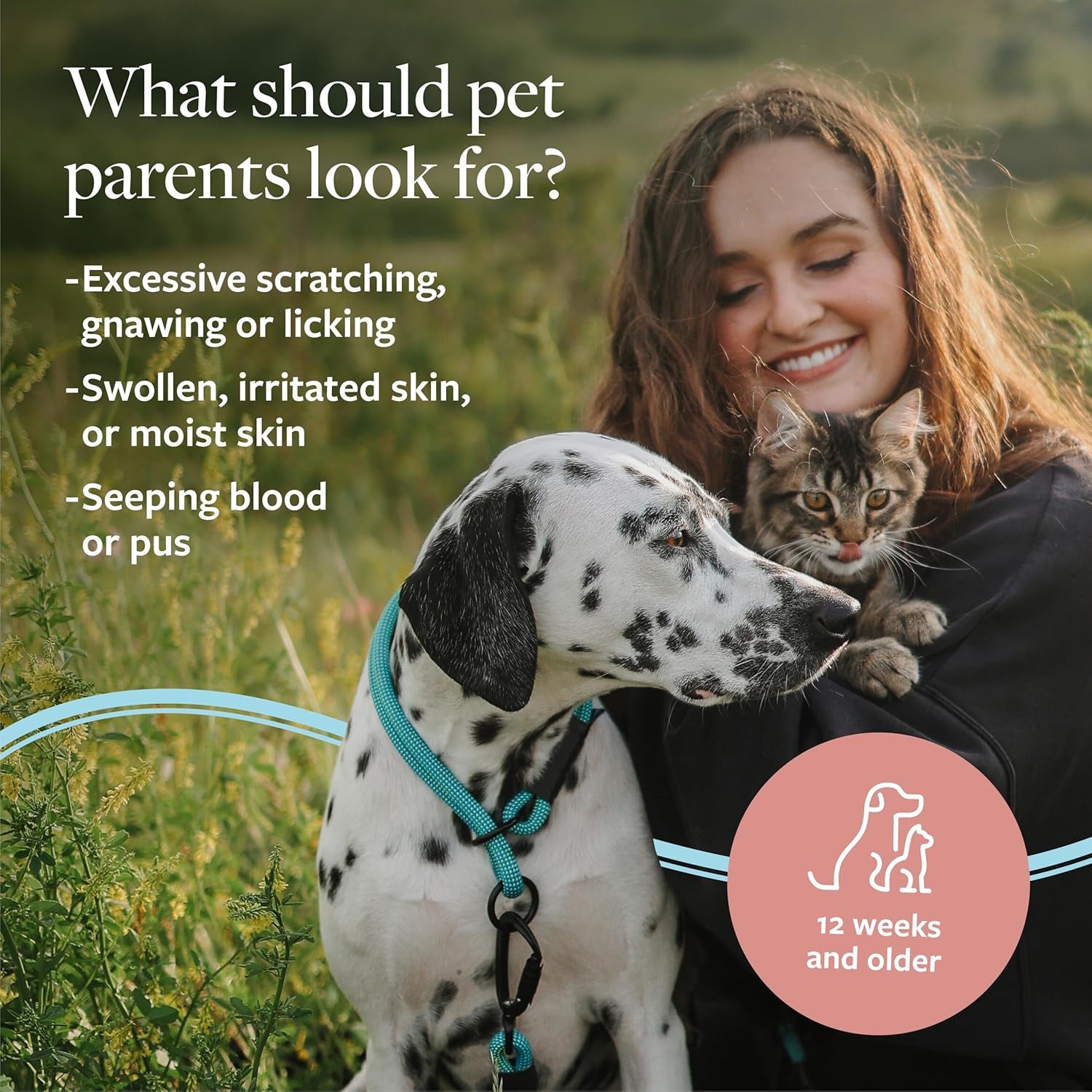 Clinical Care Hot Spot & Itch Relief Medicated Shampoo for Dogs and Cats 16Oz – Helps Alleviate Sensitive Skin, Scratching, and Licking of Coat