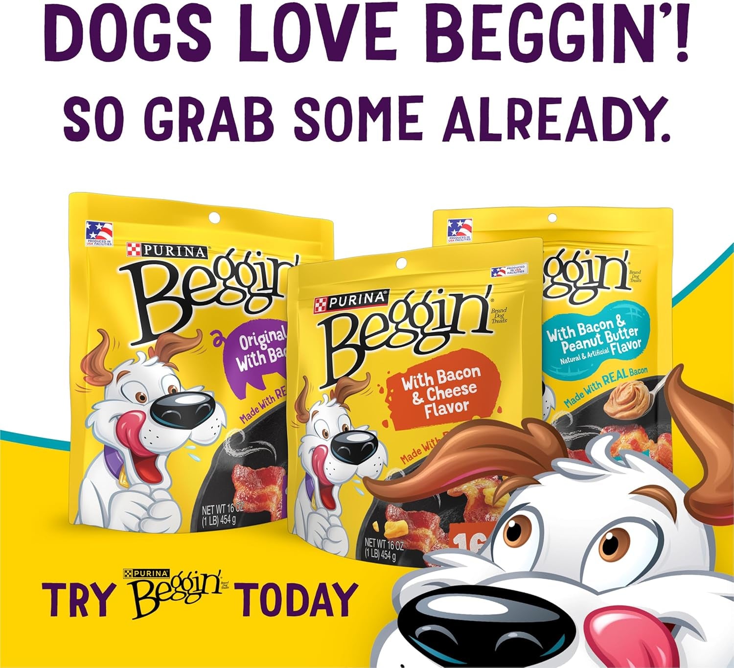 Purina ​​Beggin’ Flavor Stix with Bacon & Peanut Butter Flavor​ - 25 Oz. Pouch