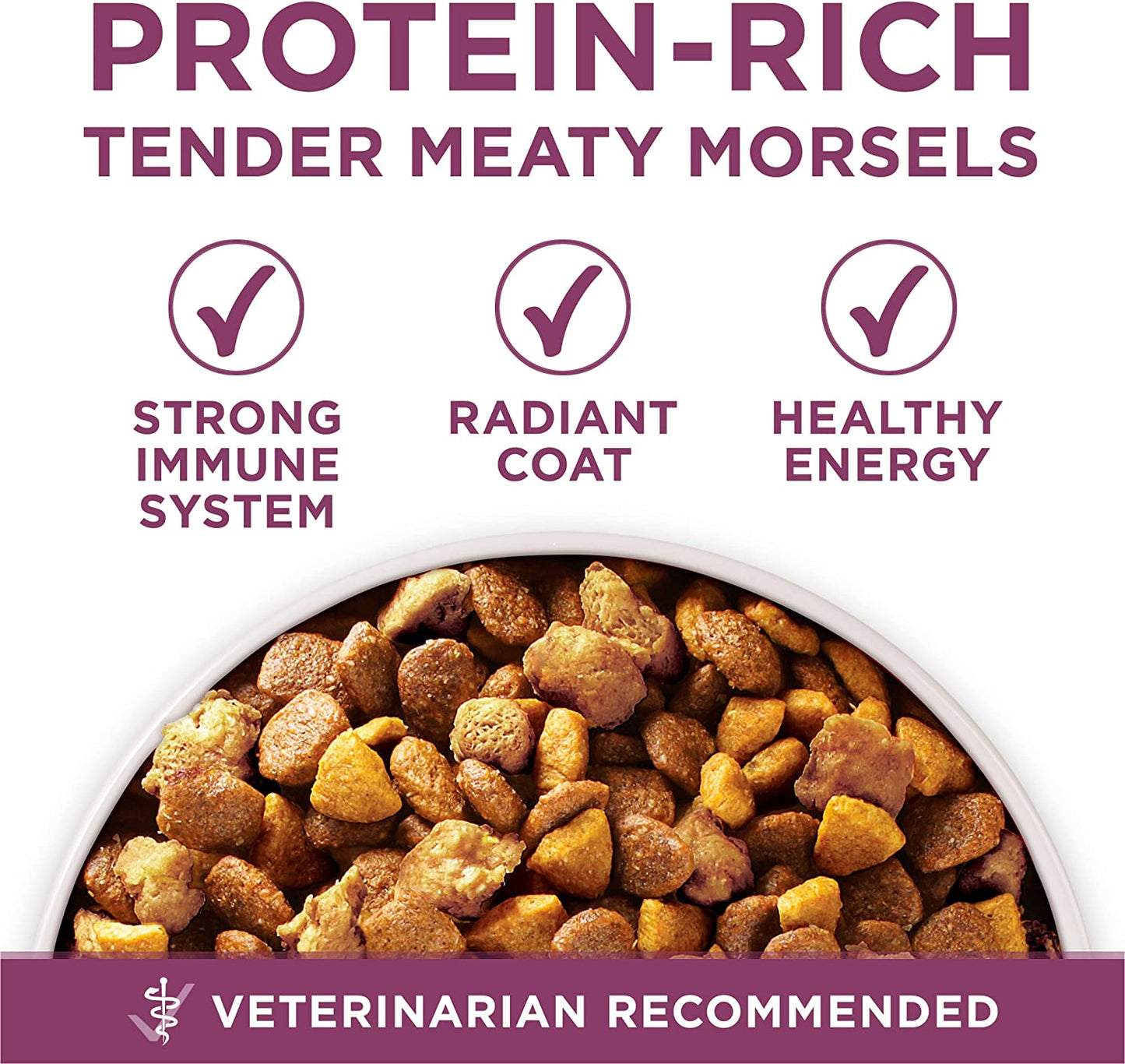 plus Healthy Puppy Formula High Protein Natural Dry Puppy Food with Added Vitamins, Minerals and Nutrients - 16.5 Lb. Bag