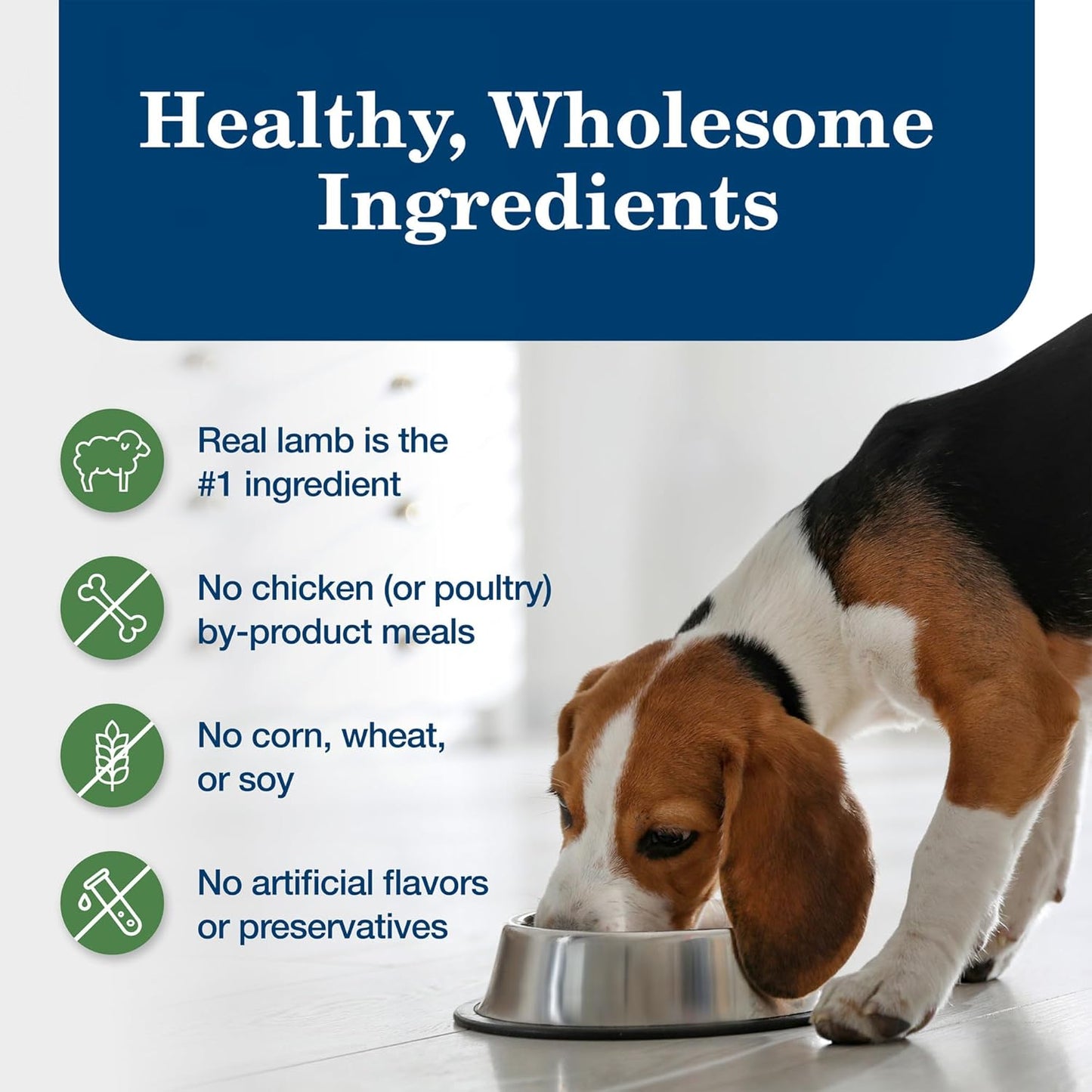 Homestyle Recipe Adult Wet Dog Food, Made with Natural Ingredients, Lamb Dinner with Garden Vegetables, 12.5-Oz Can (Pack of 12)