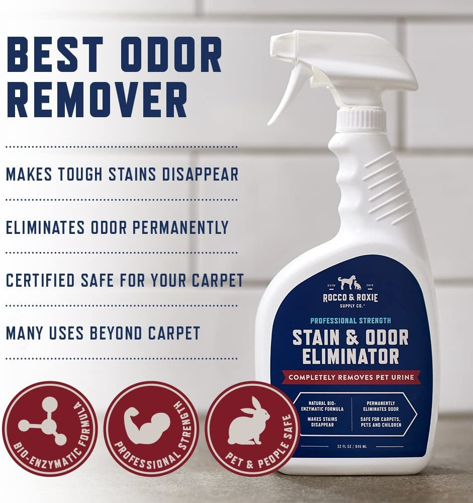 Stain & Strong Odor Eliminator, Enzyme Cleaner, Pet Odor Eliminator for Home - Carpet Stain Remover for Cats & Dog Pee - Urine Destroyer - Carpet Cleaner Spray Clear, 32 Fl Oz