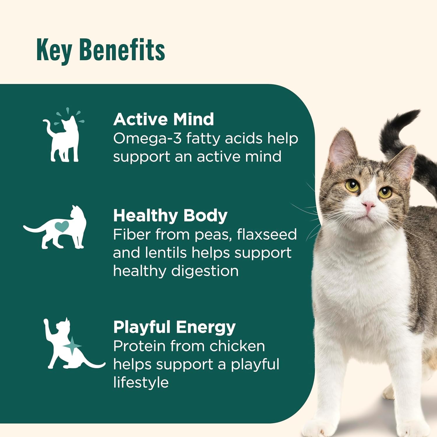 Indoor Complete Premium Natural Dry Cat Food, Chicken with Lentils & Salmon Recipe, 14 Pounds (Packaging May Vary)