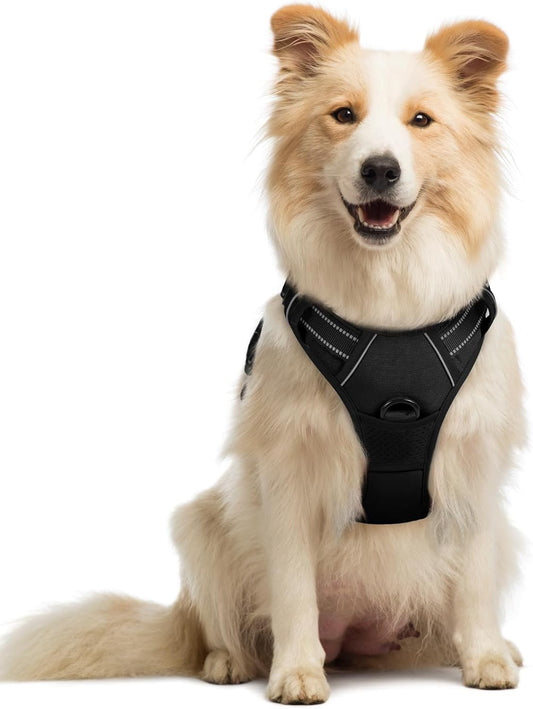Dog Harness No Pull with 2 Leash Clips, Adjustable Soft Padded, Reflective Oxford No Choke Pet Vest with Easy Control Handle for Medium Sized Dogs, Black, M
