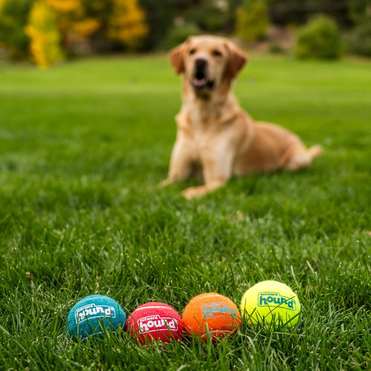 Squeaker Ballz, Interactive Dog Toy, Squeaky Tennis Ball, Durable Dog Toy for Fetch, Multi-Pack of 4, Medium