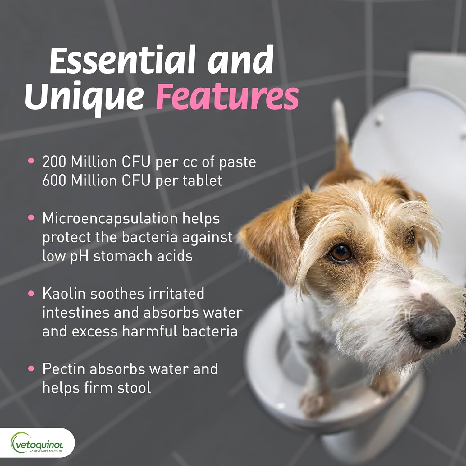 Pro-Pectalin Chewable Tablets for Dogs & Cats, Helps Relieve Occasional Diarrhea, Situational Diarrhea Relief with Kaolin and Pectin, Contains Beneficial Probiotic Bacteria, 250 Ct