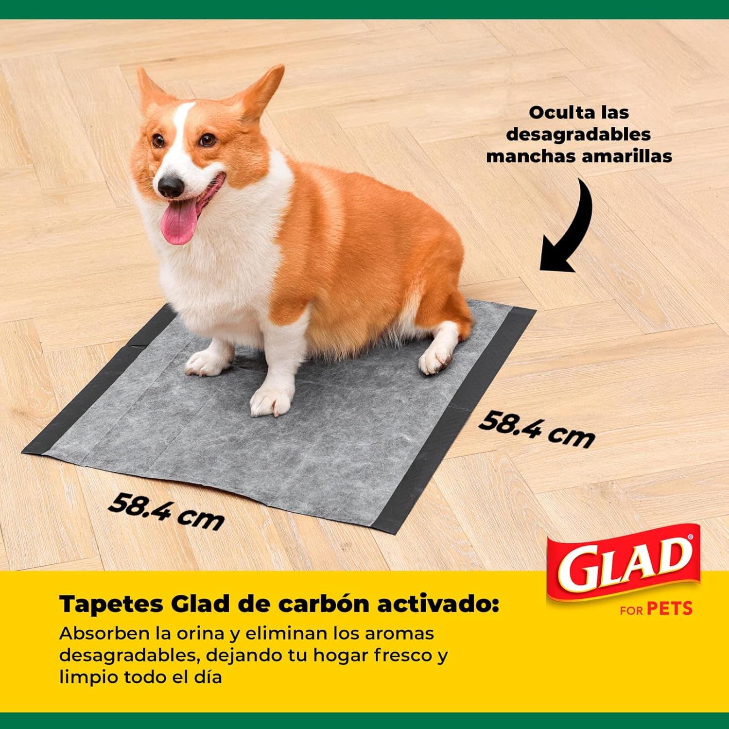 for Pets Black Charcoal Puppy Pads, 23"X23" Disposable Pee Pad That Absorbs & Neutralizes Urine Instantly, Activated Carbon Training Pads for Dogs - 100 Count