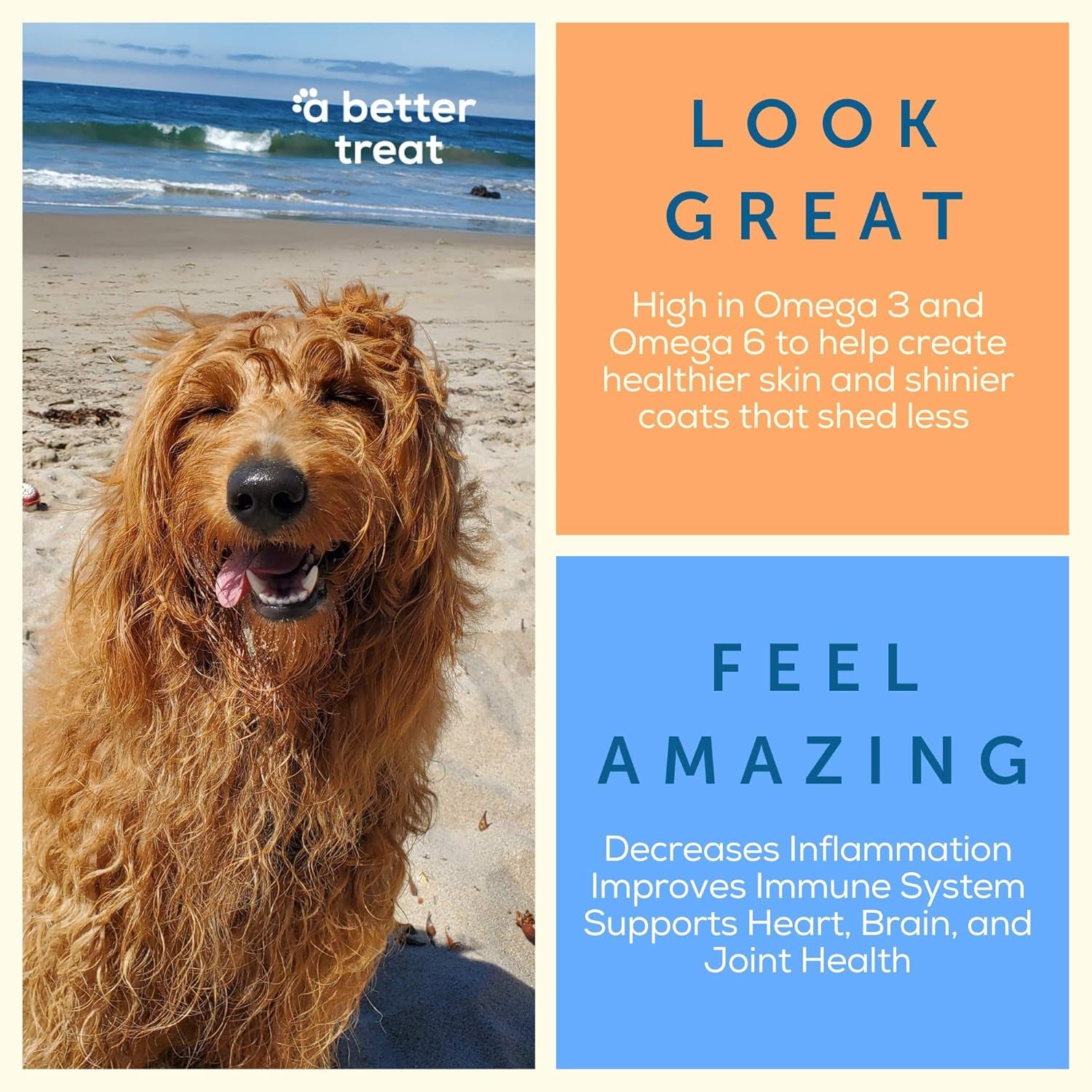 – Freeze Dried Salmon Dog Treats, Wild Caught, Single Ingredient | Natural High Value | Gluten Free, Grain Free, High Protein, Diabetic Friendly | Natural Fish Oil | Made in the USA