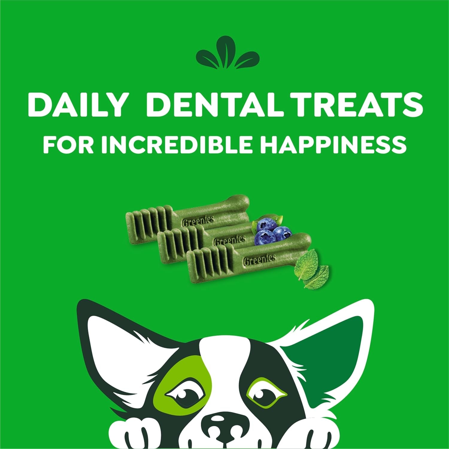 Petite Dental Dog Treats, 3-Flavor Variety Pack, (3) 12 Oz. Pouches, 60 Total Treats
