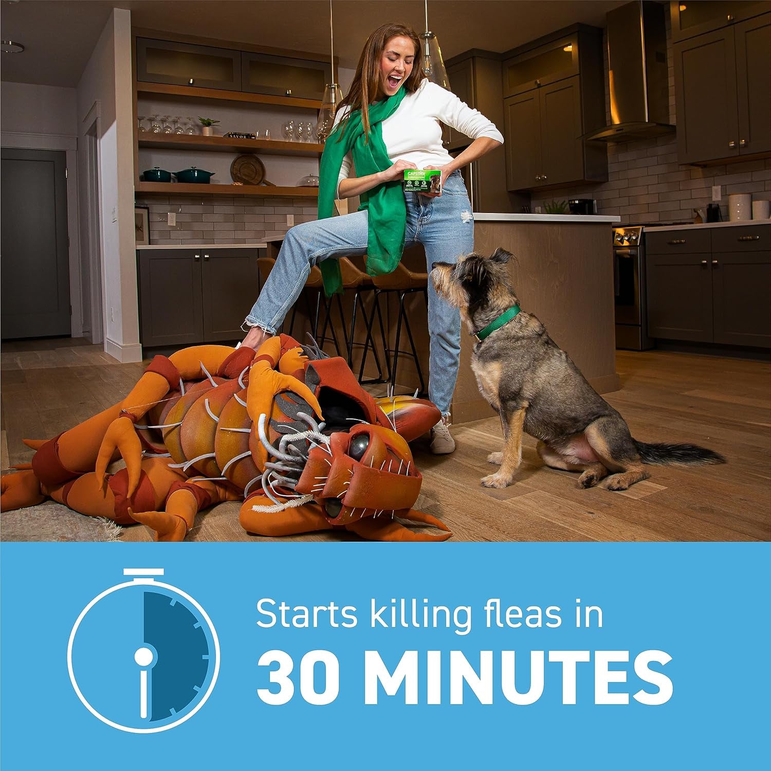 (Nitenpyram) for Dogs Fast-Acting Oral Flea Treatment for Dogs 2-25 Lbs, Vet-Recommended Medication Tablets Start Killing in 30 Minutes, 6 Doses