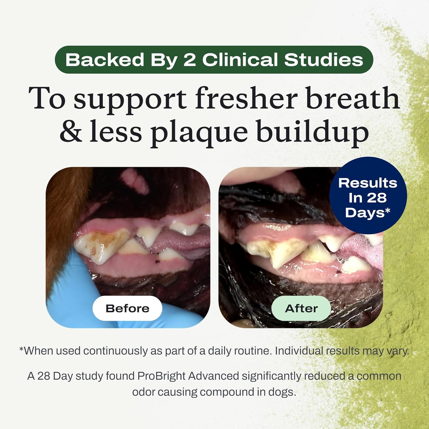 Probright Advanced Dental Powder - Dog Breath Freshener - Teeth Cleaning Made Easy – Targets Tartar & Bad Breath - Packaging May Vary - Formulated for Medium Size Dogs