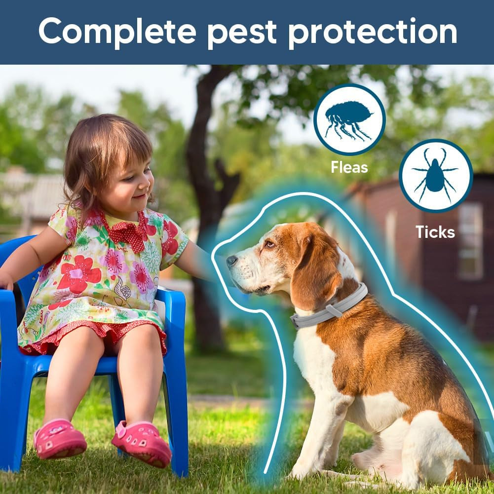 Flea Collar Dogs, Tick Collars for Dogs, Flea and Ticks Collar for Dog, Adjustable, Suitable of Dog, 8 Months Protection, Naturally, Effectively-2P