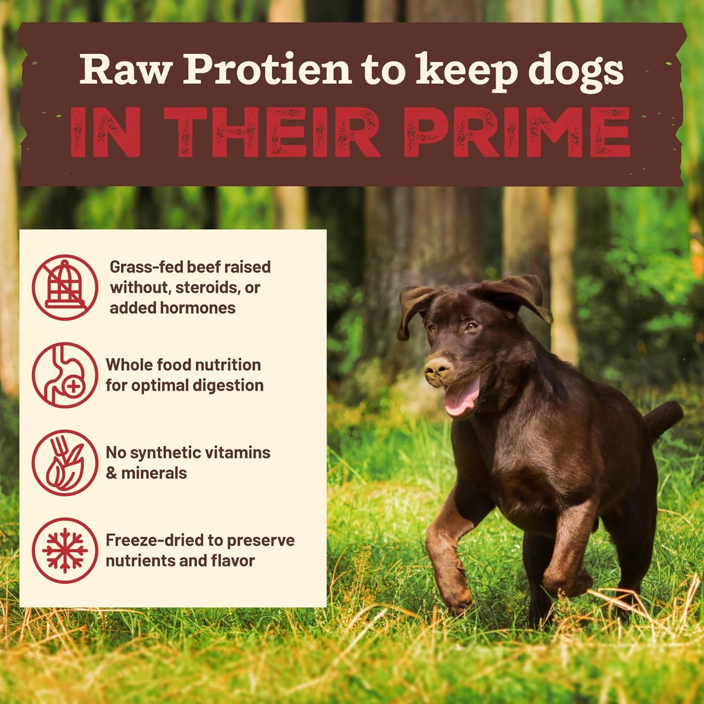 Primal Kibble in the Raw, Freeze Dried Dog Food, Beef, Scoop & Serve, Made with Raw Protein, Whole Ingredient Nutrition, Crafted in the USA, Dry Dog Food 1.5 Lb Bag