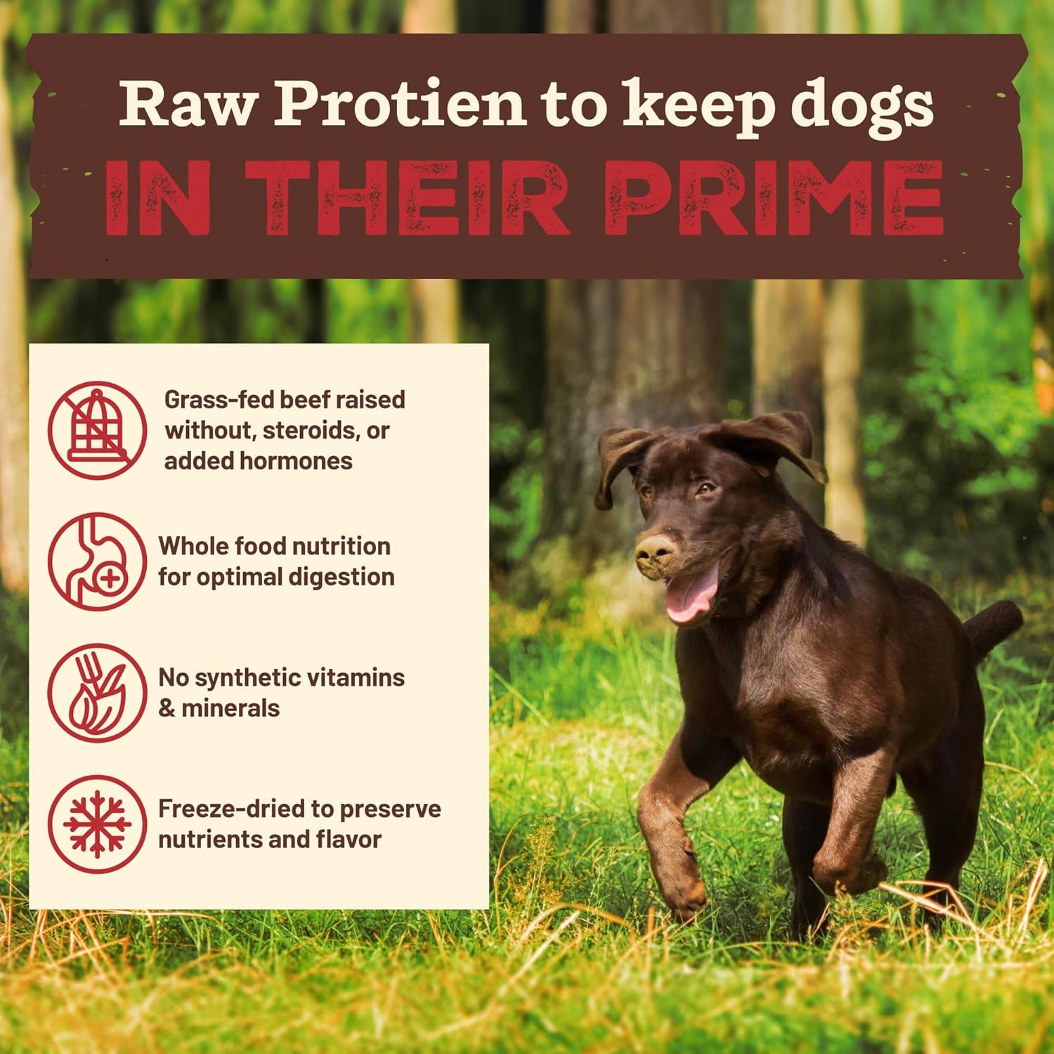 Primal Kibble in the Raw, Freeze Dried Dog Food, Beef, Scoop & Serve, Made with Raw Protein, Whole Ingredient Nutrition, Crafted in the USA, Dry Dog Food 1.5 Lb Bag