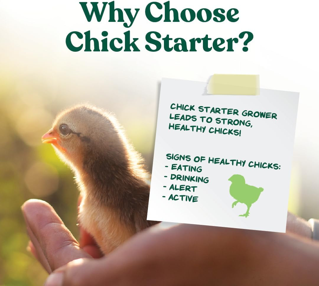 Medicated Chick Starter Grower Feed – High Protein Crumbles with Amprolium for Coccidiosis Prevention – Complete Chicken Feed for Baby Chicks and Pullets – for Healthy Growth – 5 Lb Bag