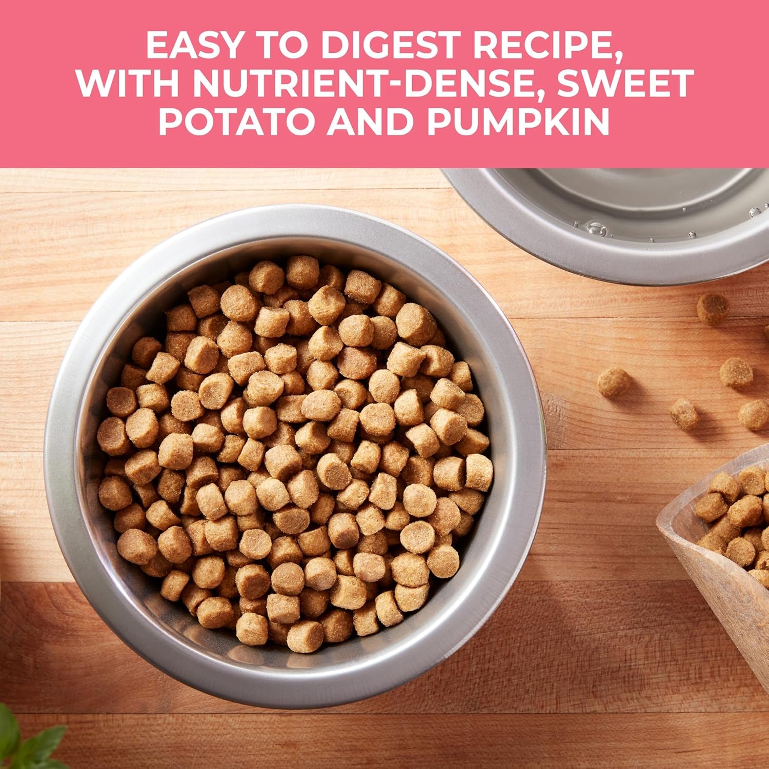 Nature’S Recipe Grain Free Salmon, Sweet Potato & Pumpkin Recipe Dry Dog Food, 24 Lb. Bag