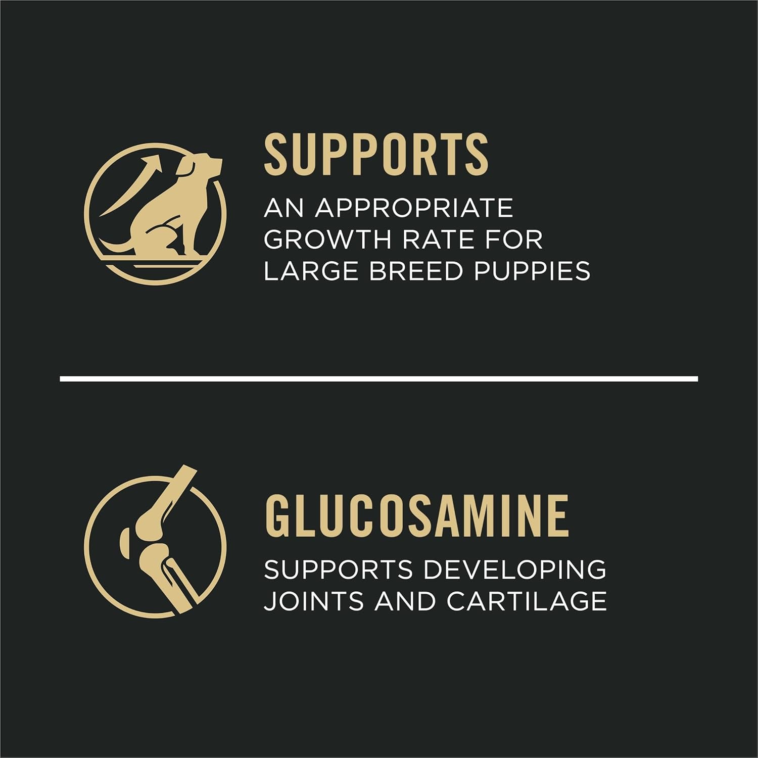 Large Breed Dry Puppy Food, Chicken and Rice Formula - 18 Lb. Bag