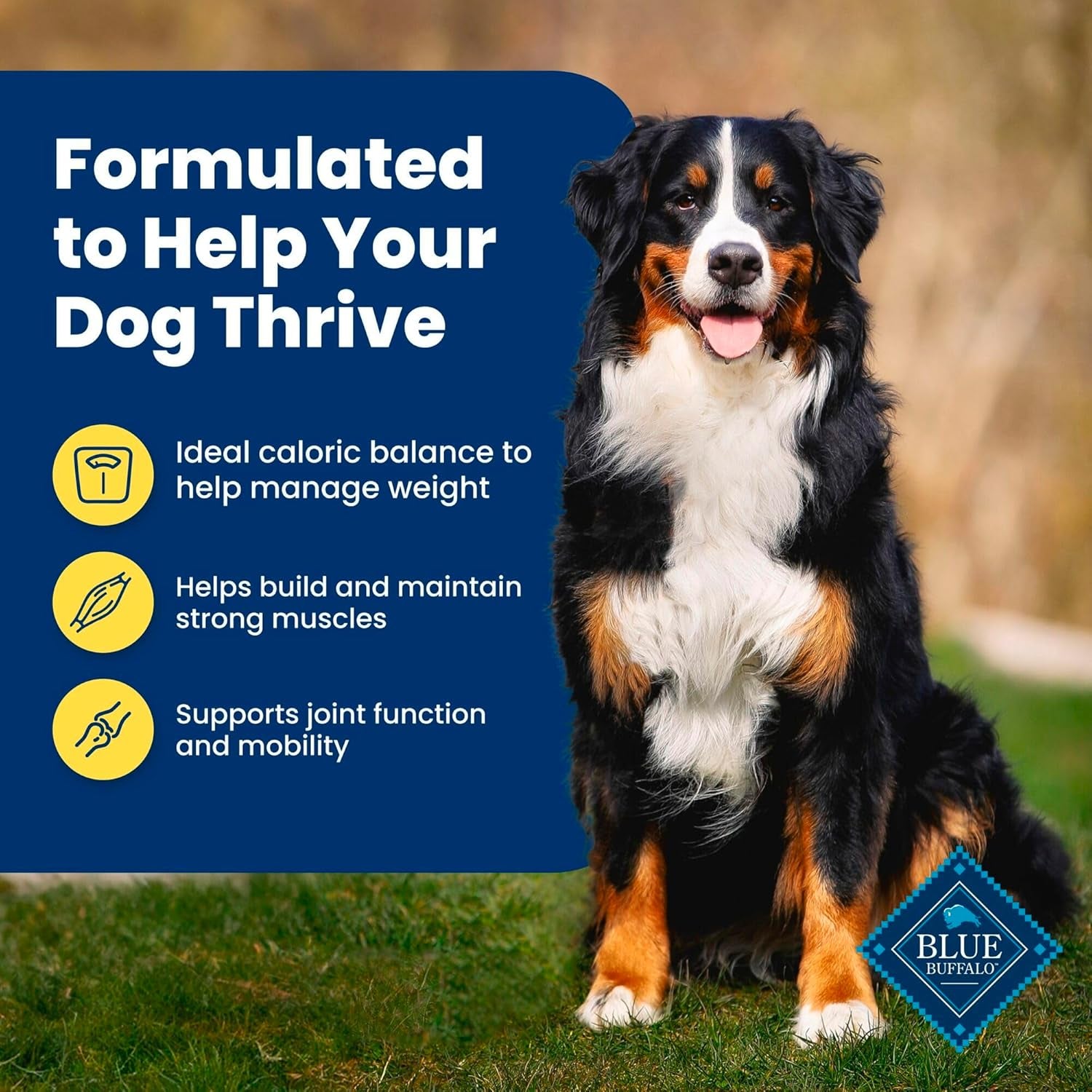Life Protection Formula Healthy Weight Adult Dry Dog Food, Supports an Ideal Weight, Made with Natural Ingredients, Chicken & Brown Rice Recipe, 34-Lb. Bag