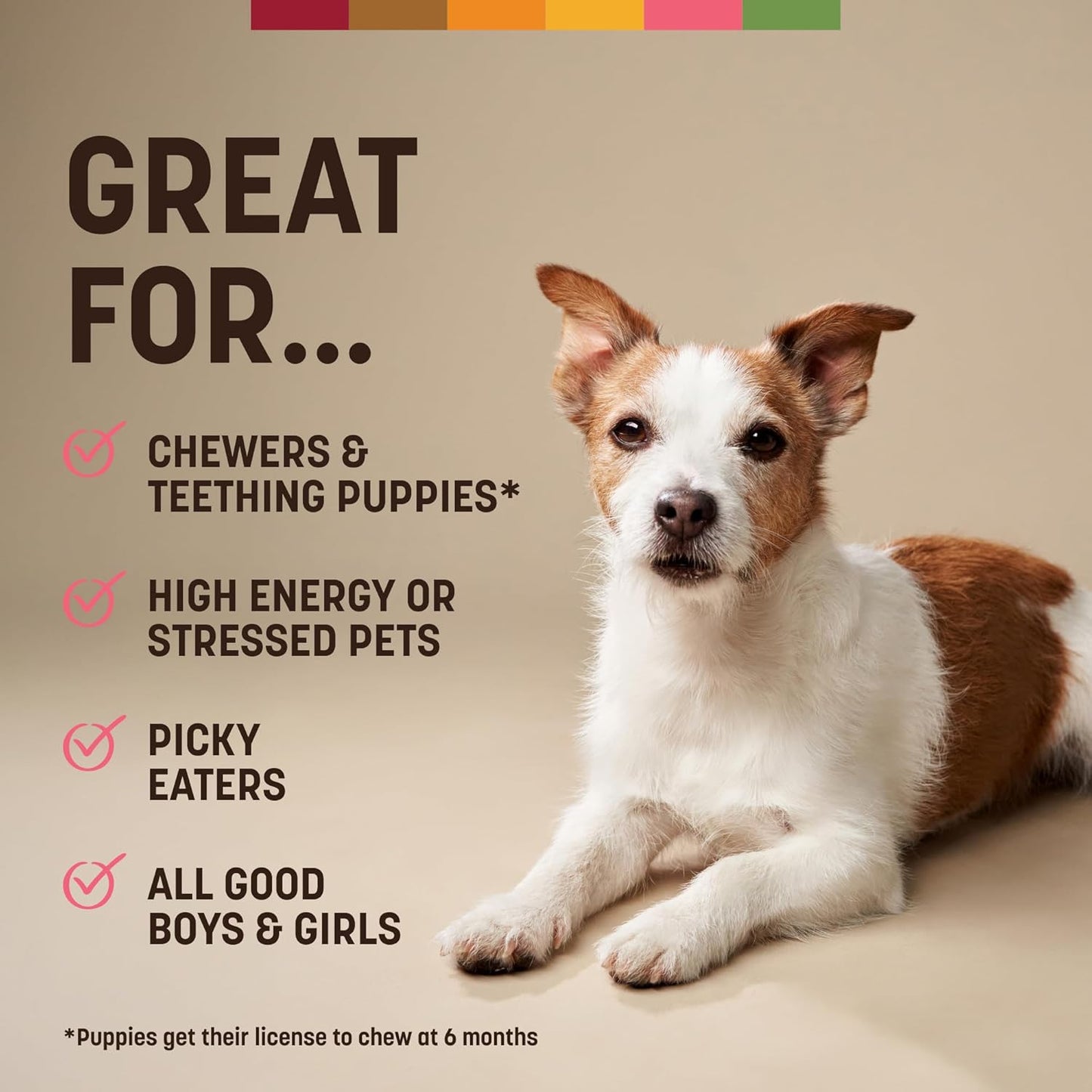 No Hide Chews - Long Lasting Rawhide Free Small Dog Chews Rolls, Salmon - 6 Count