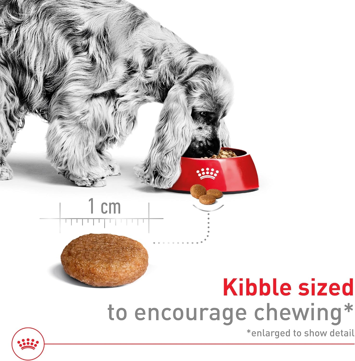 Size Health Nutrition Medium Adult Dry Dog Food, 17 Lb Bag