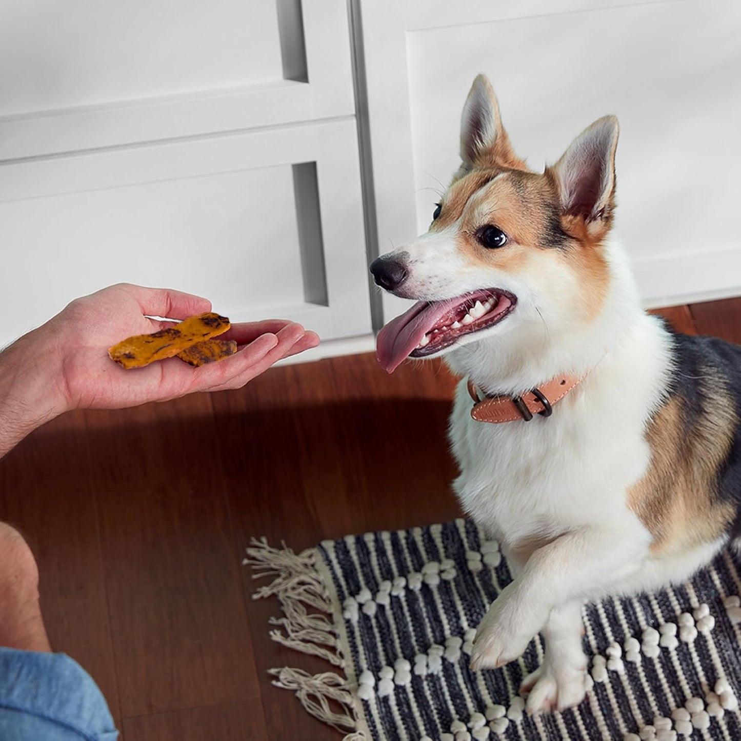 Rachael Ray  Turkey Bites Turkey Recipe with Hickory Smoke Bacon Flavor Dog Treats, 12 Oz. Pouch