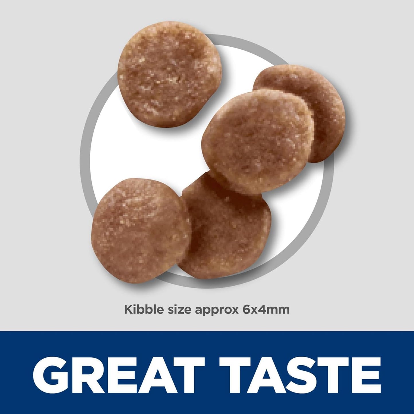 Kitten, Kitten Premium Nutrition, Dry Cat Food, Chicken Recipe, 15.5 Lb Bag