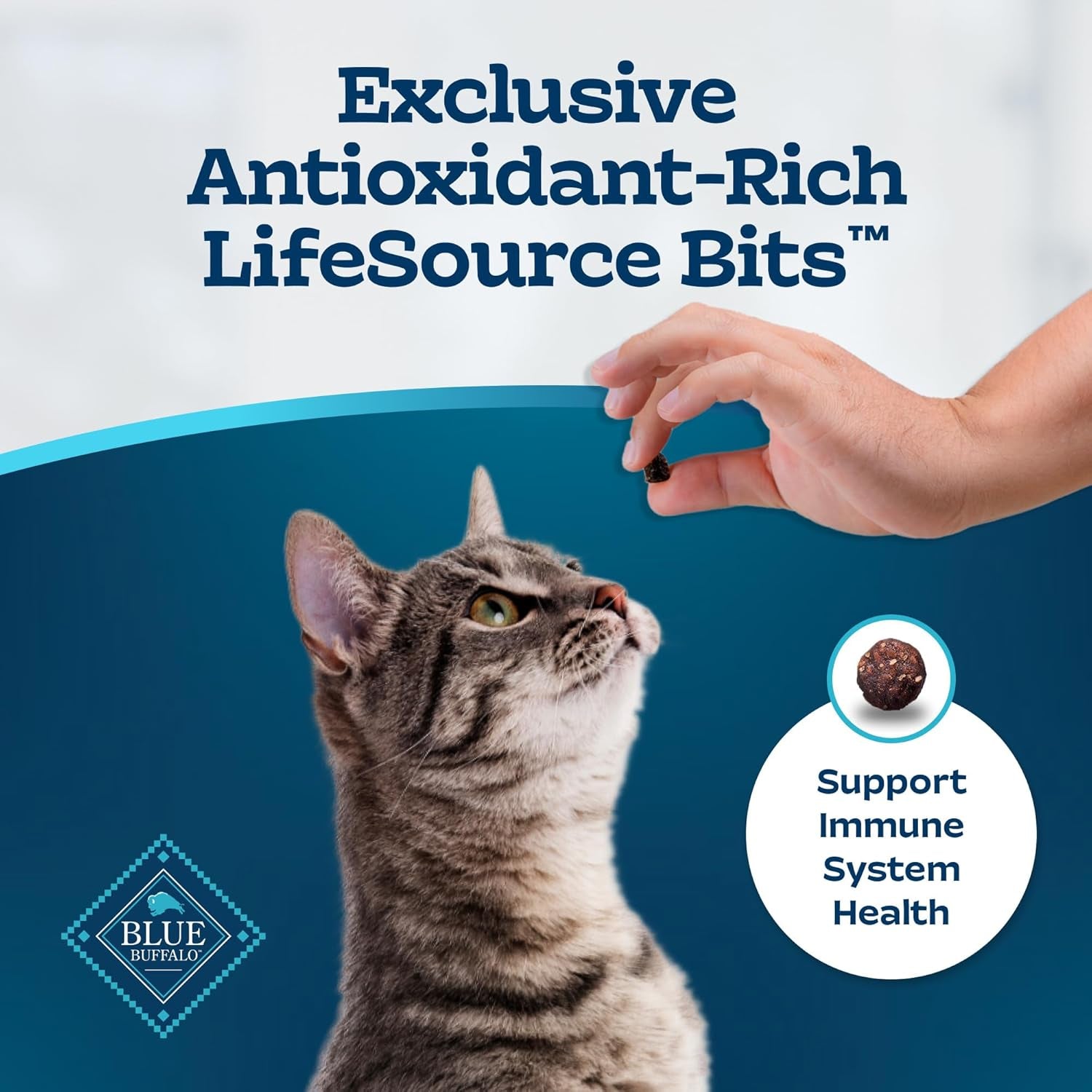 Tastefuls Adult Dry Cat Food Sensitive Stomach Formula, Made in the USA with Natural Ingredients, Chicken Recipe, 7-Lb. Bag