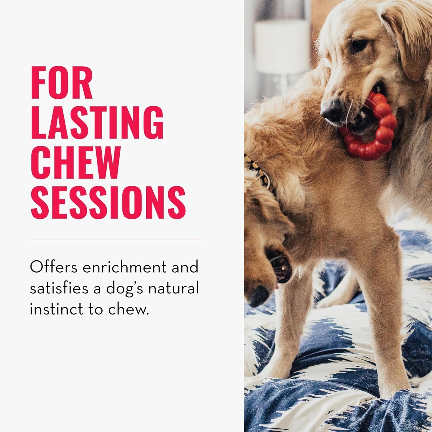 Ring - Natural Rubber Ring Toy for Healthy Chewing Habits - Chew Toy Supports Dog Dental Health - Dog Toy Supports Instincts during Playtime - for Small/Medium Dogs