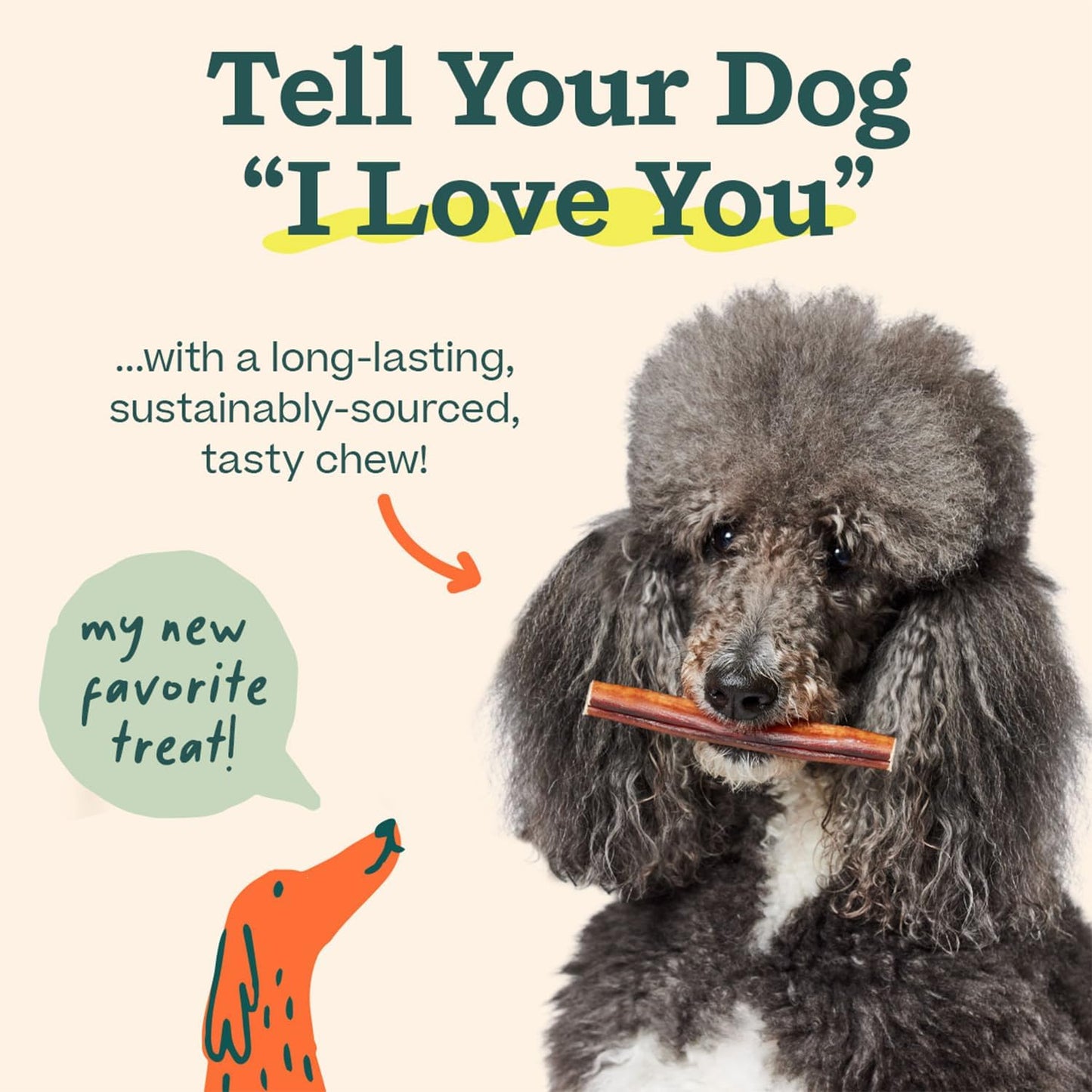 Bully Sticks Dog Treats - Chew Sticks for Dogs - Long-Lasting Dog Chew Treats - Made with Free-Range, Grass-Fed Beef - 6" Sticks - 10Pk