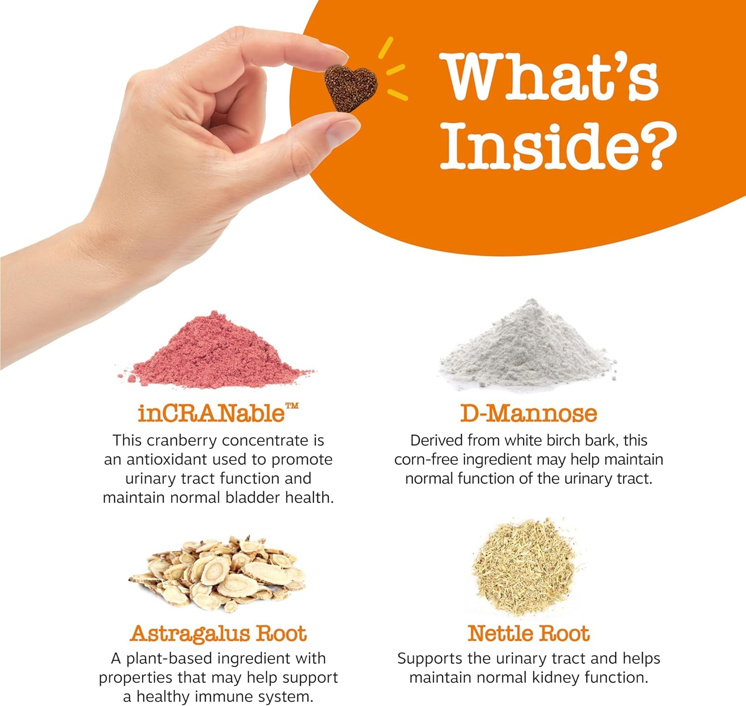 Cranberry Supplement for Dogs - Bladder Control for Dogs - Urinary Tract Support - Cranberry Chews - Immune & Gut Support - Chicken - 90 Count