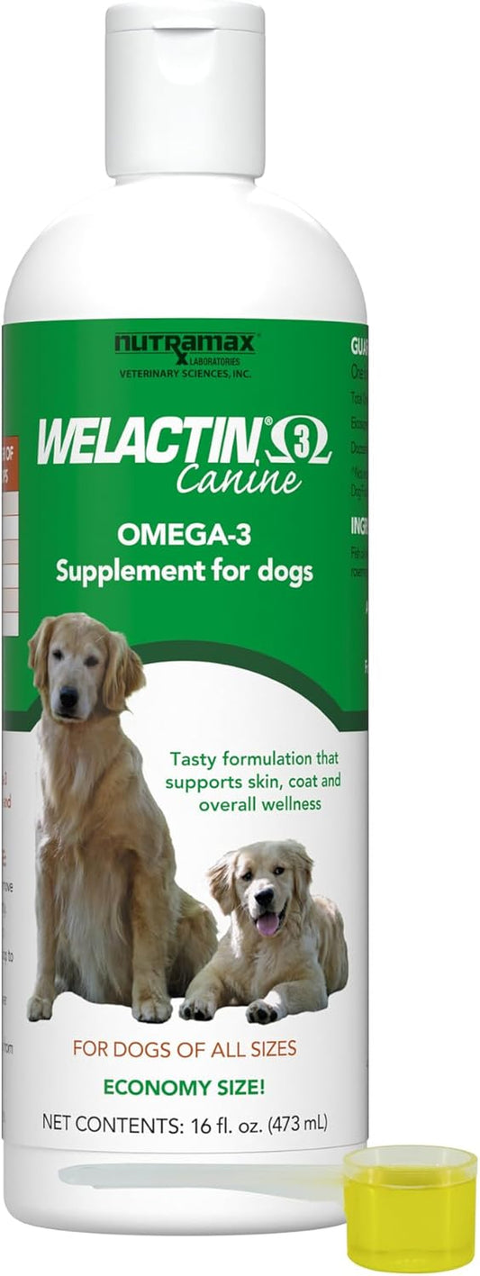 Nutramax Welactin Omega 3 Fish Oil for Dogs, Skin and Coat Health Supplement, plus Joint, Immune, Kidney, and Brain Support, Premium Omega 3 Fatty Acids, for Dogs, 16 Ounce Liquid