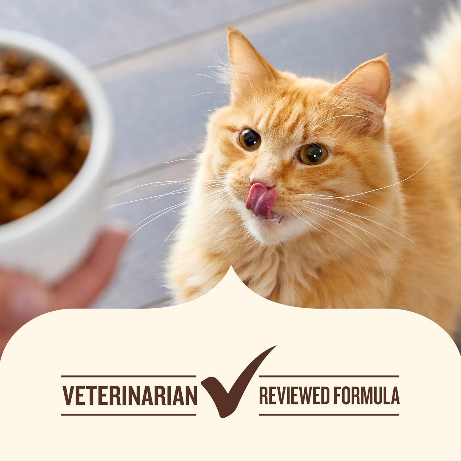 Premium Natural Dry Cat Food, Real Chicken & Brown Rice Recipe, 14 Pounds (Packaging May Vary), (Rachael Ray )