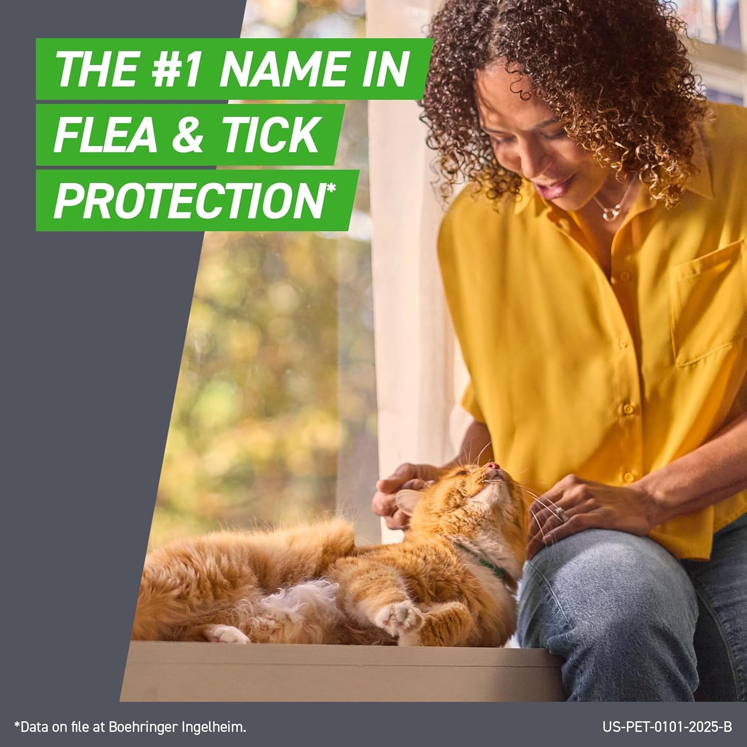 plus Flea and Tick Treatment for Cats over 1.5 Lbs. 6 Treatments