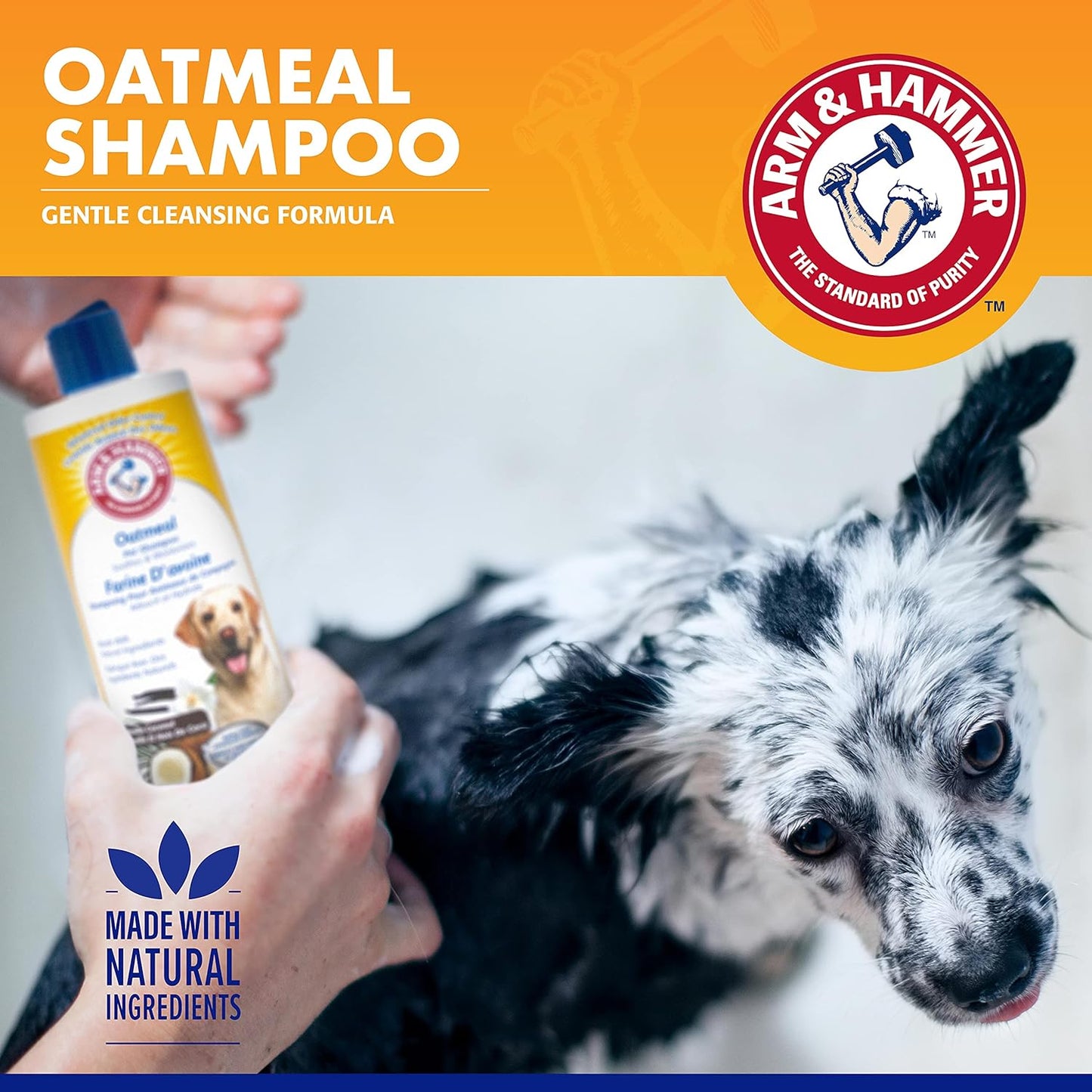 for Pets Oatmeal Shampoo for Dogs | Best Dog Shampoo for Dry, Itchy Skin | Soothing Oatmeal Dog Shampoos in Warm and Inviting Vanilla Coconut Scent, 16 Oz,White