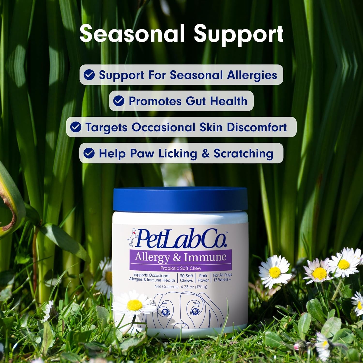 Allergy & Immune Probiotics for Dogs, Support Seasonal Allergies, Gut & Digestive Health - Pork Flavor - 30 Soft Chews