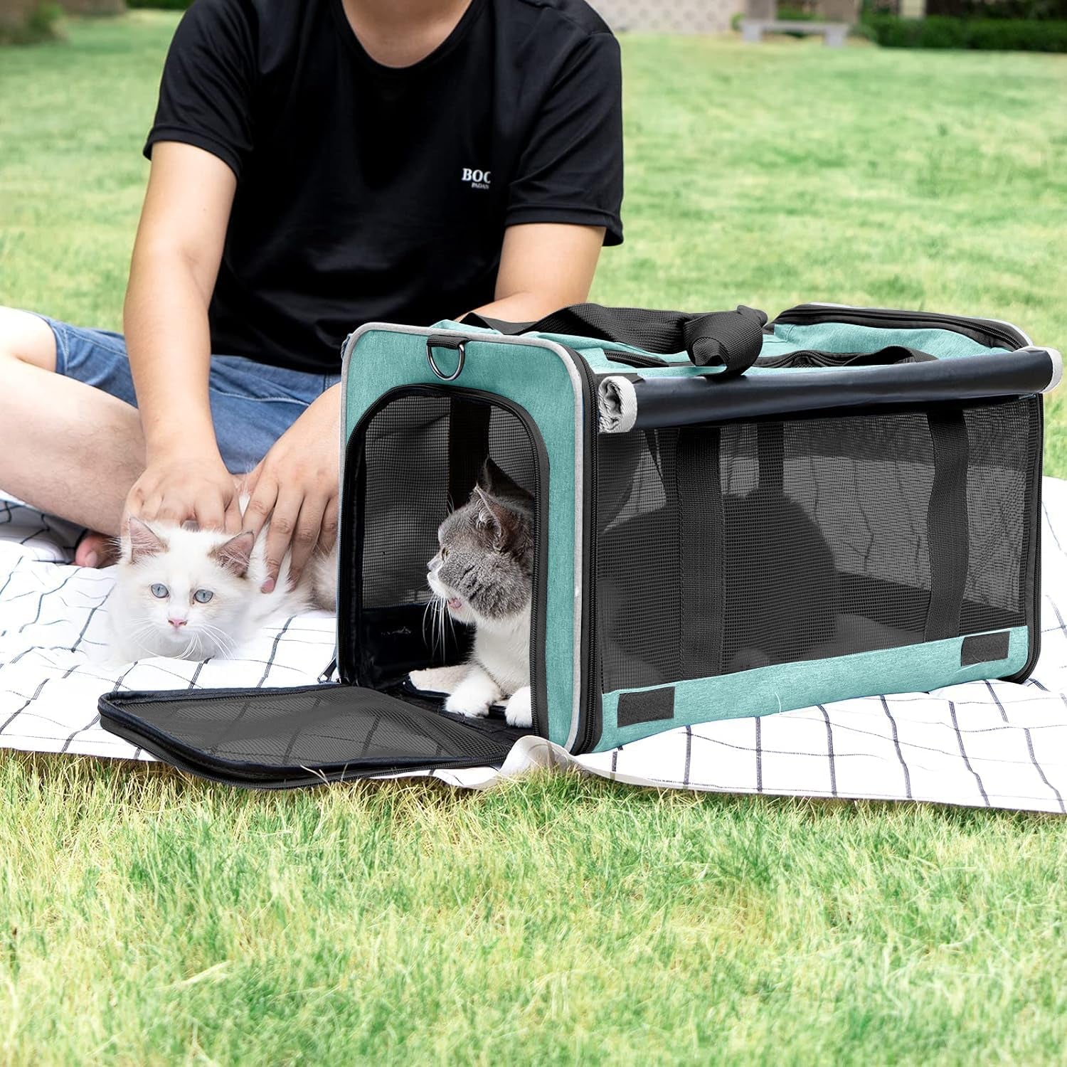 Small Dog Carrier for Puppy Yorkshire Softshell Car Transport Chihuahua Carry Cage 18-Inch Collapsible Doggie Vet Visit Crate Easy Load Roomy Pet Carrier Bag Kennel Dog Essentials Teal