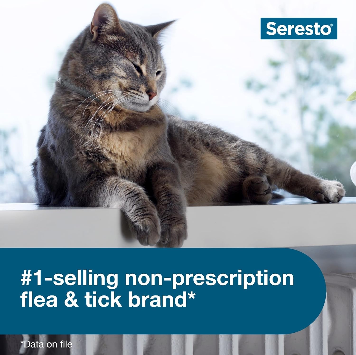 Cat Vet-Recommended Flea & Tick Treatment & Prevention Collar for Cats | 8 Months Protection