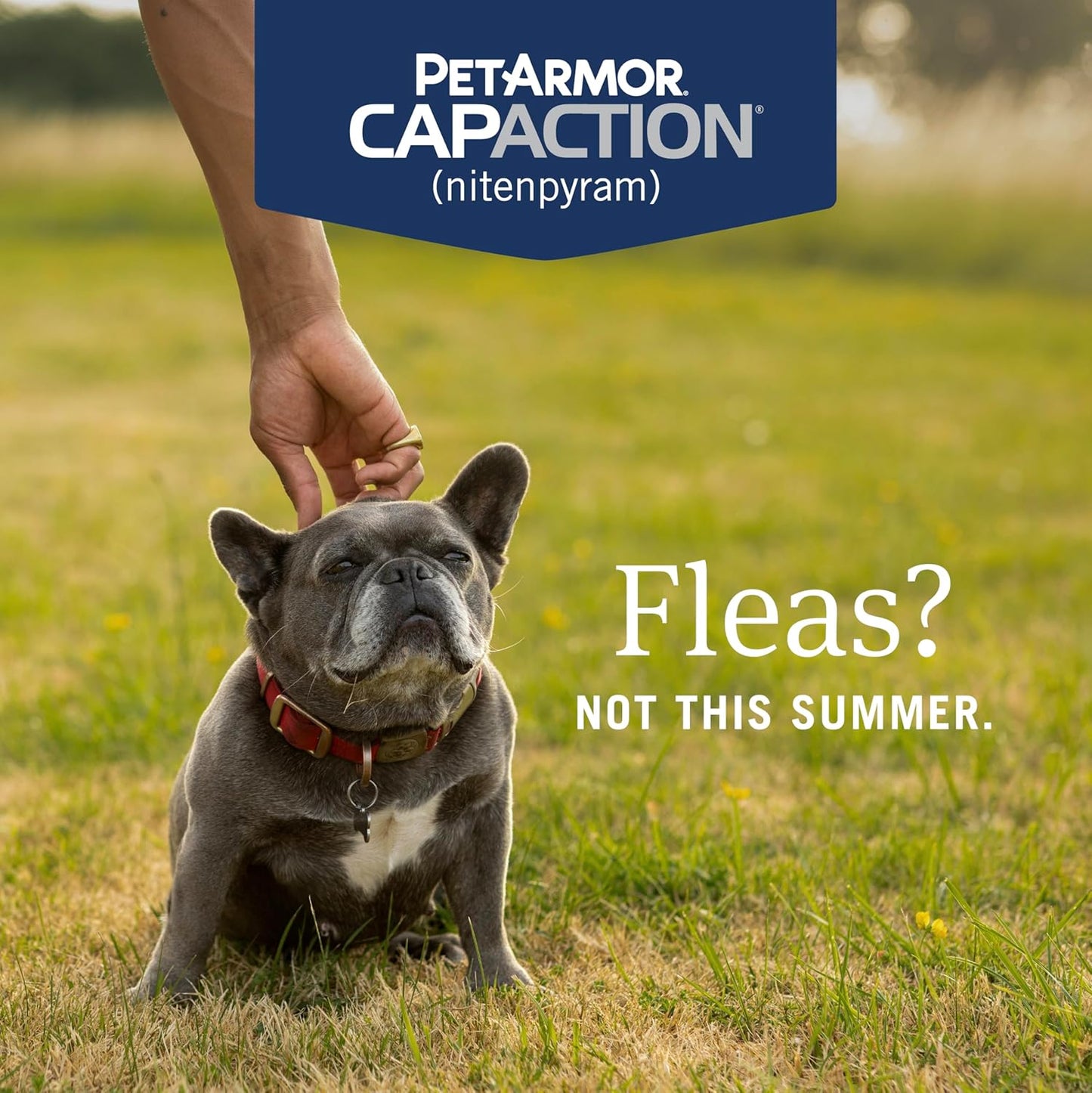 CAPACTION (Nitenpyram) Oral Flea Treatment for Dogs, Fast Acting Tablets Start Killing Fleas in 30 Minutes, Dogs 2-25 Lbs, 6 Doses