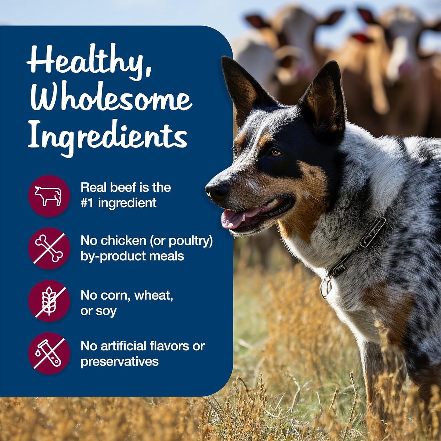 Blue'S Stew Grain-Free Wet Dog Food, Made with Natural Ingredients, Hearty Beef Stew, 12.5-Oz. Cans (12 Count)