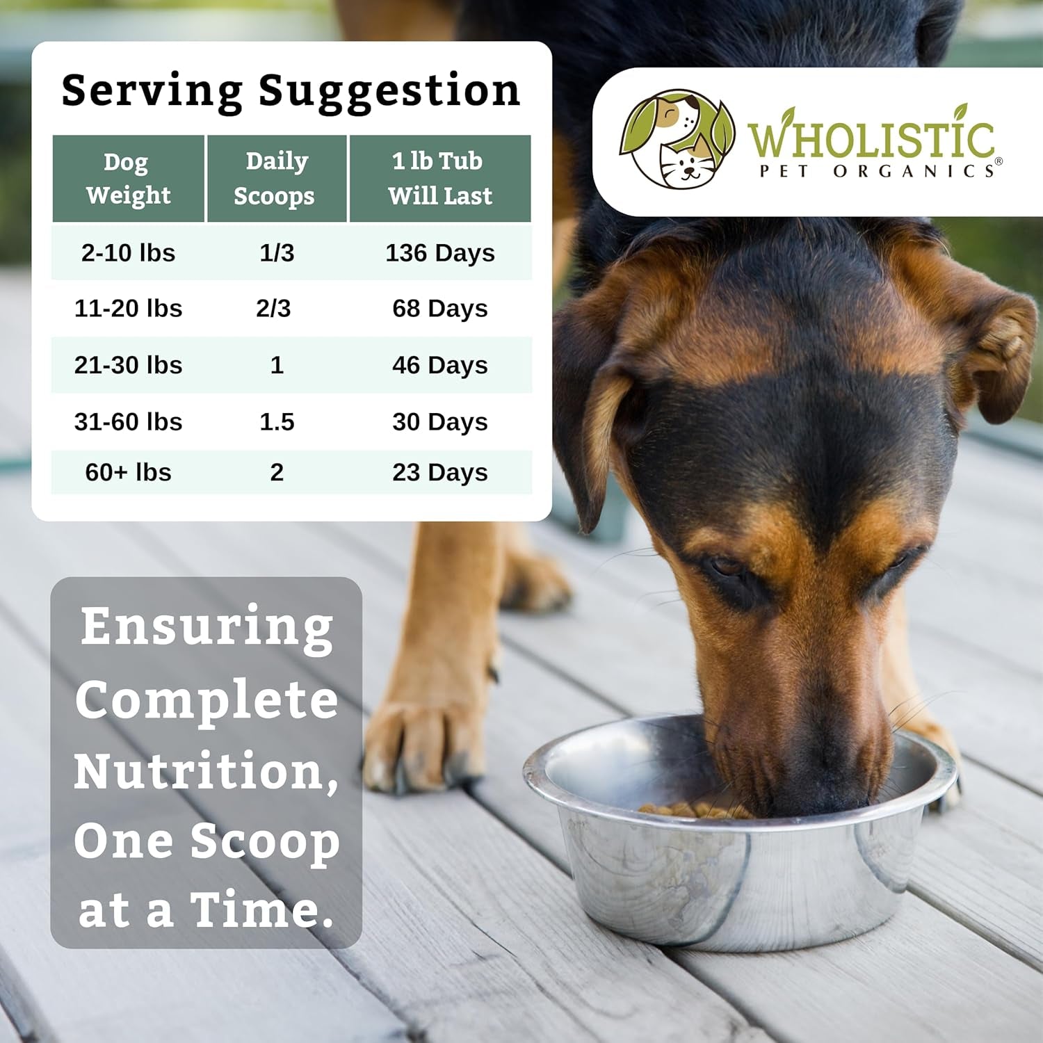 Canine Complete - Dog Multivitamin Powder - 1 Lb - Daily Dog Vitamins and Supplements for Homemade Food - Immune System, Skin, Coat & Overall Health - Small and Large Breed